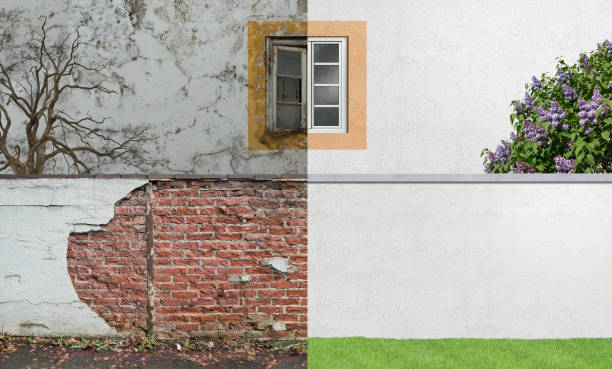 Best Mold Remediation for Healthcare Facilities  in Frazier Park, CA